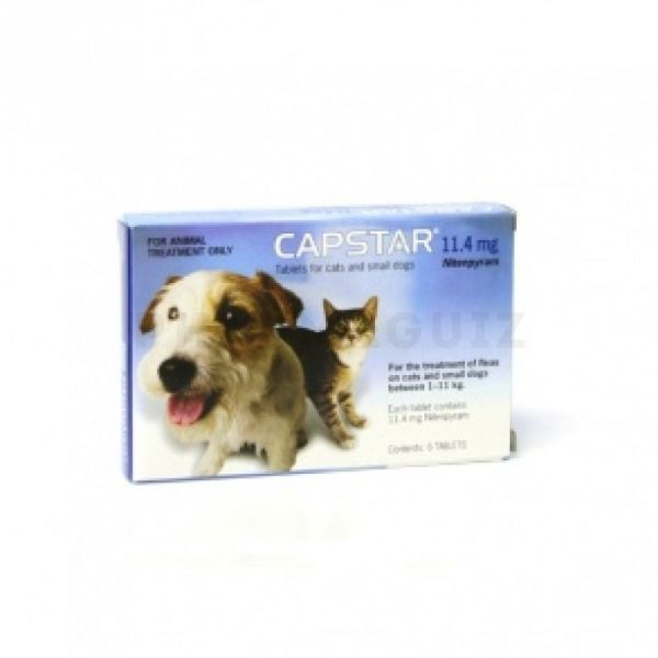 Capstar 57 mg comprimé pour chiens, boite de 6 comprimés